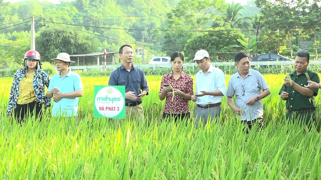 Chính sách về giảm nghèo và phát triển nông thôn  Open Development Vietnam