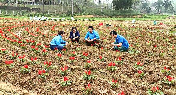 Cụ thể hóa khát vọng của thanh niên  Báo Người lao động