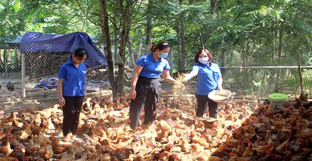 Bắc Kạn được triển khai mô hình thí điểm thuộc Chương trình mỗi xã một sản  phẩm OCOP giai đoạn 2021  2025